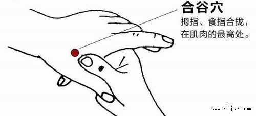 ��ҽ��̽��̳��õ�Ѩλ����Щ��