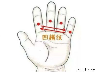 С�����ָ�ʹ����������